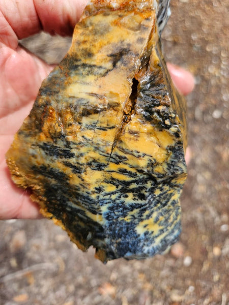 Dendritic Opal  rough.  DOR287