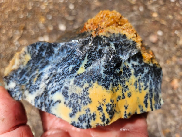 Dendritic Opal  rough.  DOR287