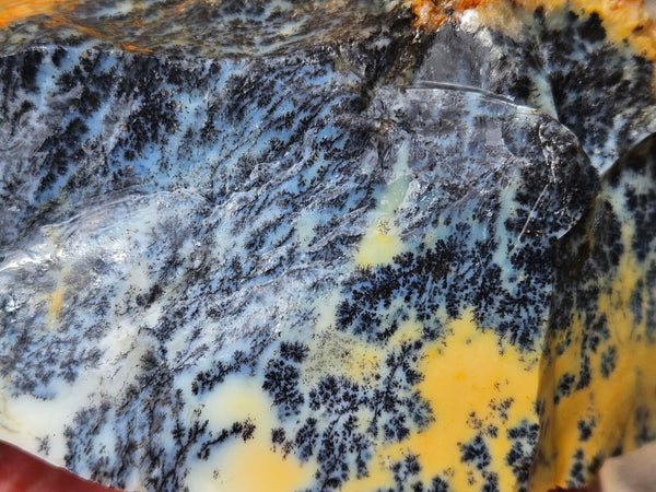Dendritic Opal  rough.  DOR287