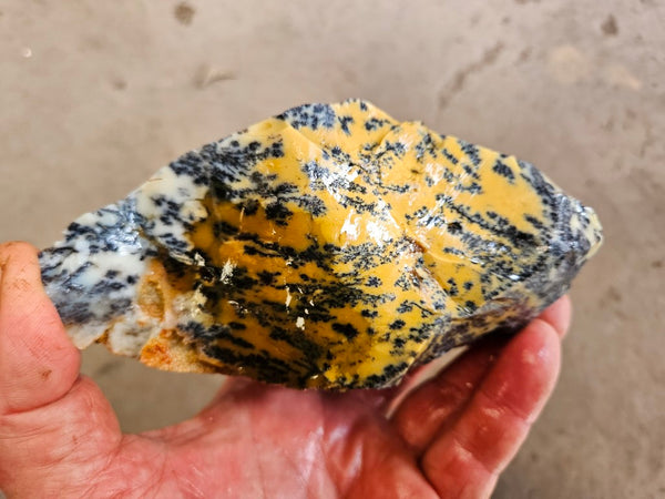 Dendritic Opal  rough.  DOR287