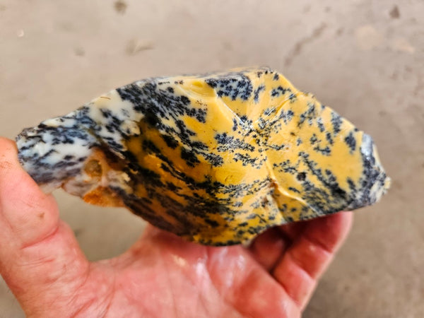 Dendritic Opal  rough.  DOR287