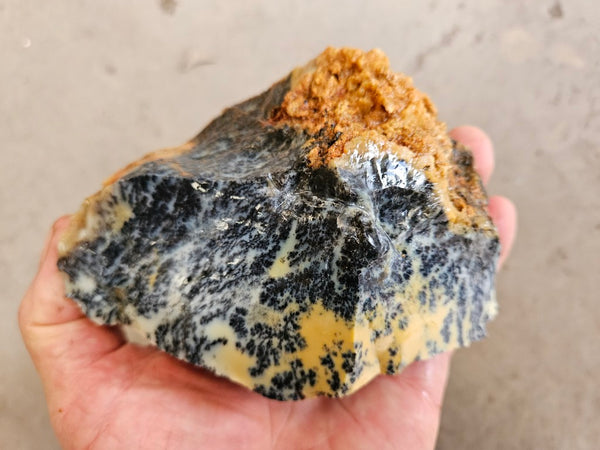 Dendritic Opal  rough.  DOR287