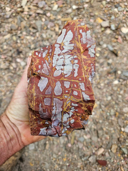 Noreena Jasper rough NJR202