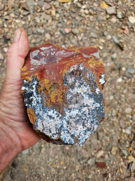 Noreena Jasper rough NJR202