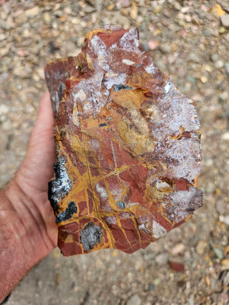 Noreena Jasper rough NJR202