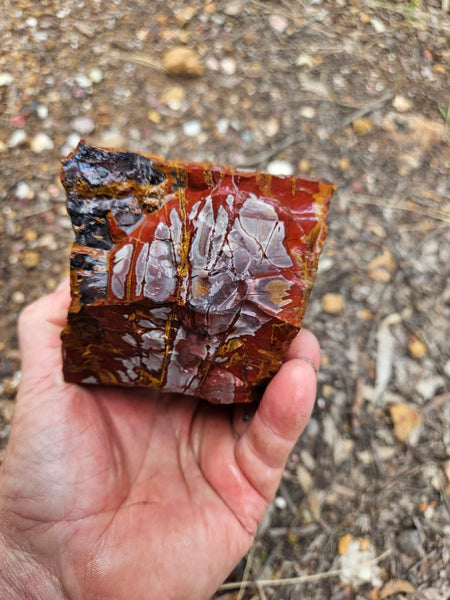 Noreena Jasper rough NJR202