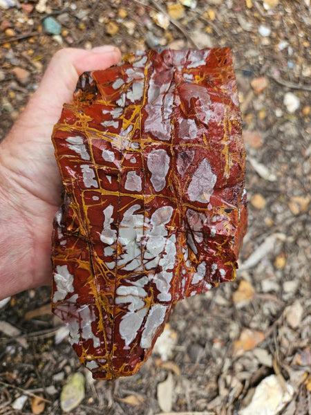 Noreena Jasper rough NJR202
