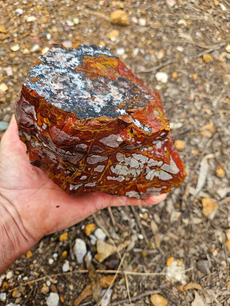 Noreena Jasper rough NJR202