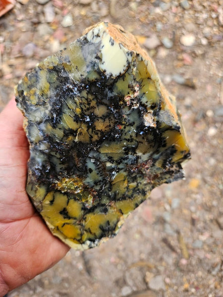 Dendritic Opal  rough.  DOR288