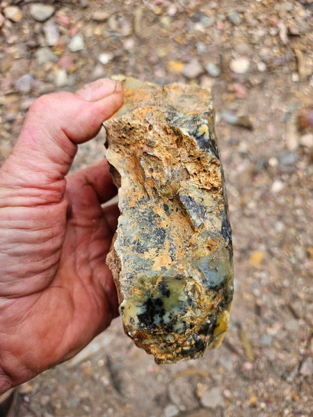 Dendritic Opal  rough.  DOR288