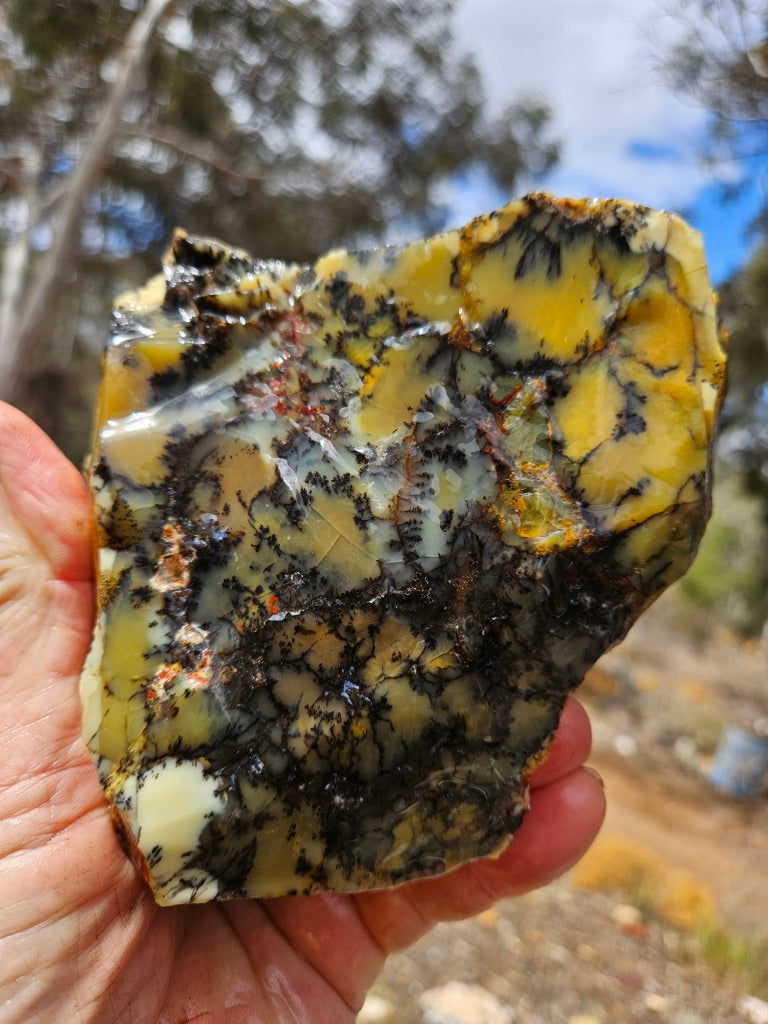 Dendritic Opal  rough.  DOR288