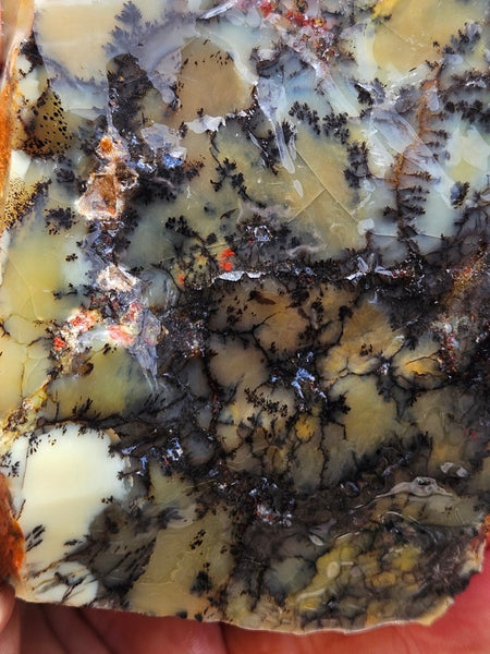 Dendritic Opal  rough.  DOR288