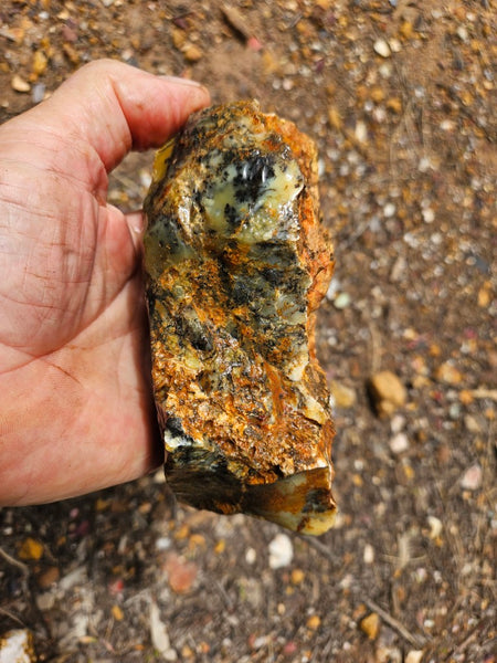 Dendritic Opal  rough.  DOR288