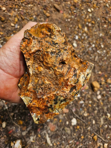 Dendritic Opal  rough.  DOR288