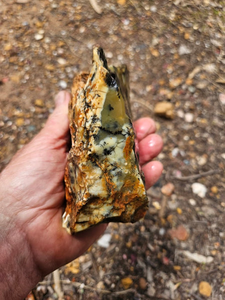 Dendritic Opal  rough.  DOR288