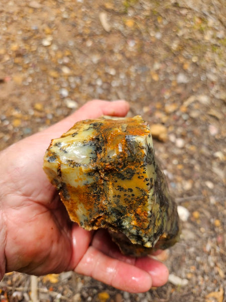 Dendritic Opal  rough.  DOR288