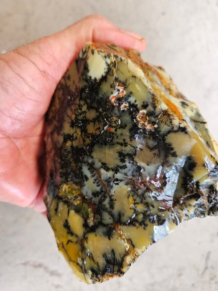 Dendritic Opal  rough.  DOR288