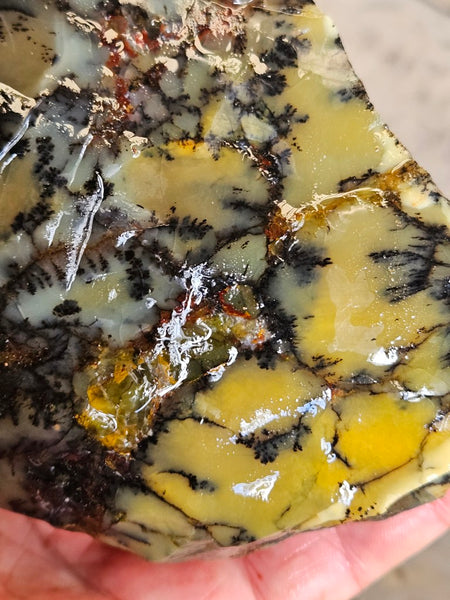 Dendritic Opal  rough.  DOR288