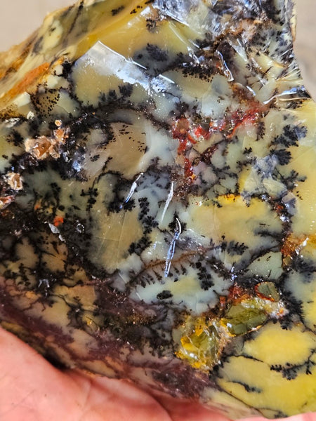Dendritic Opal  rough.  DOR288