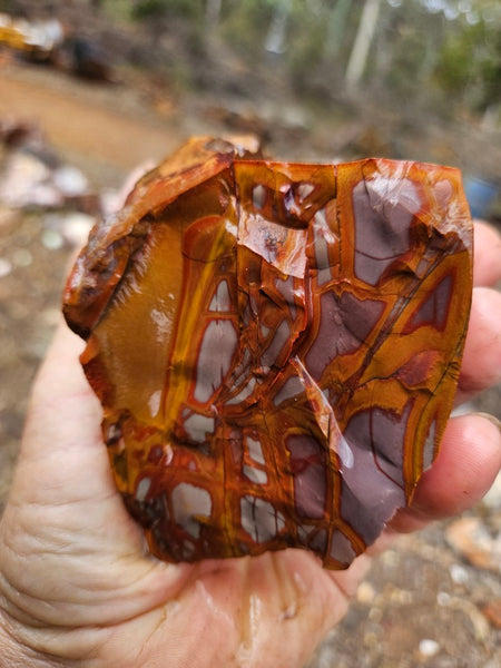 Noreena Jasper rough NJR201