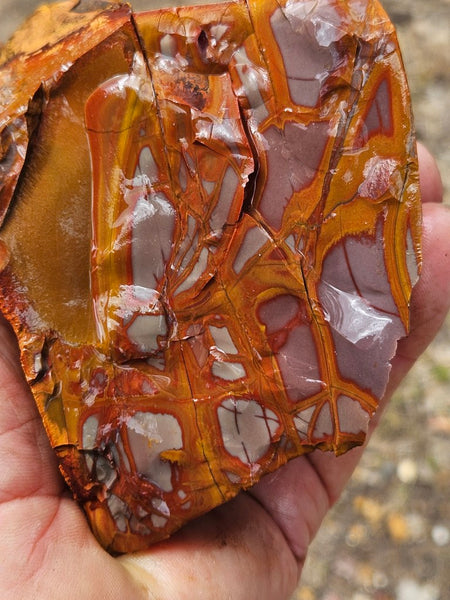 Noreena Jasper rough NJR201