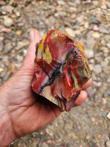 Mookaite rough.  MKR 314