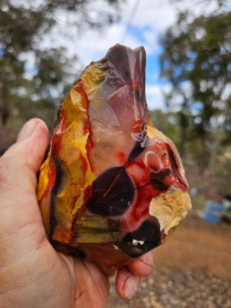 Mookaite rough.  MKR 314