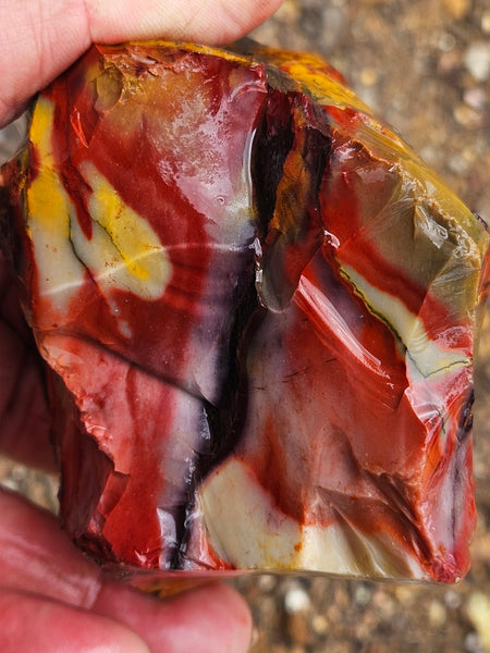 Mookaite rough.  MKR 314