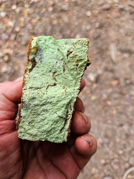 Lime magnesite rough.  LMR 141