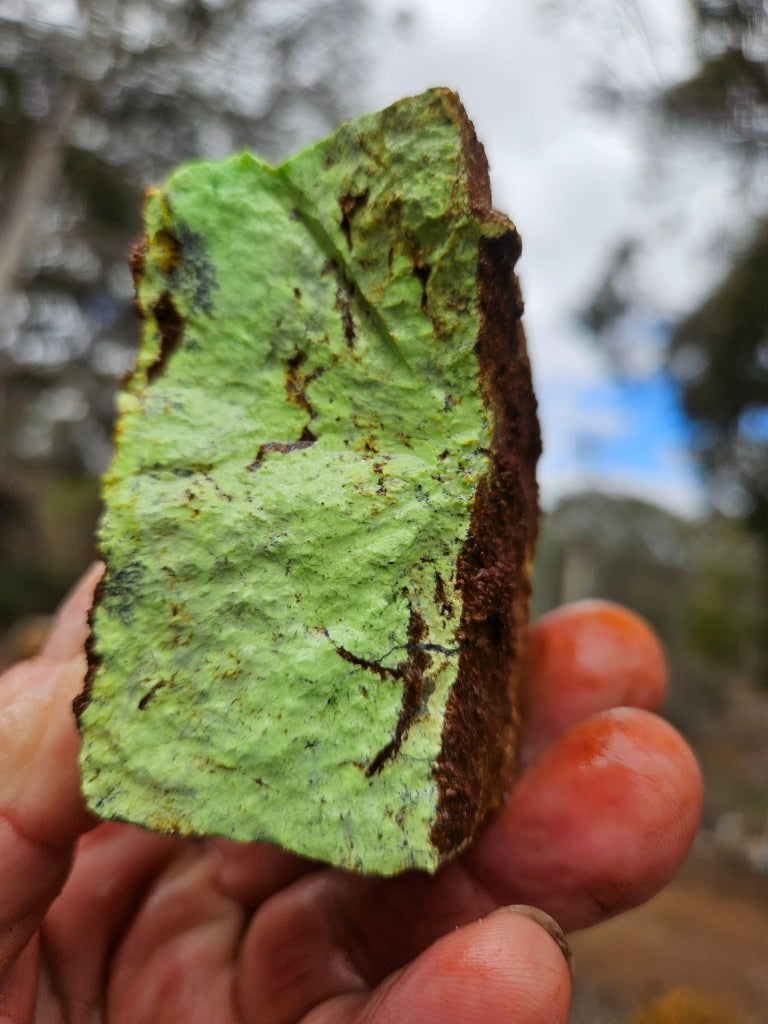Lime magnesite rough.  LMR 141