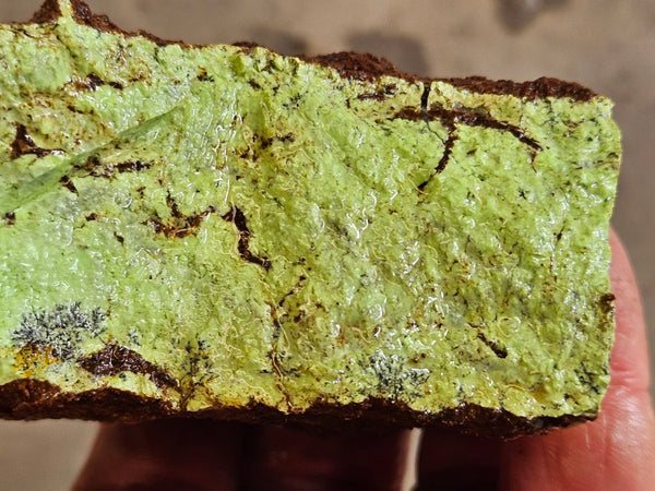 Lime magnesite rough.  LMR 141