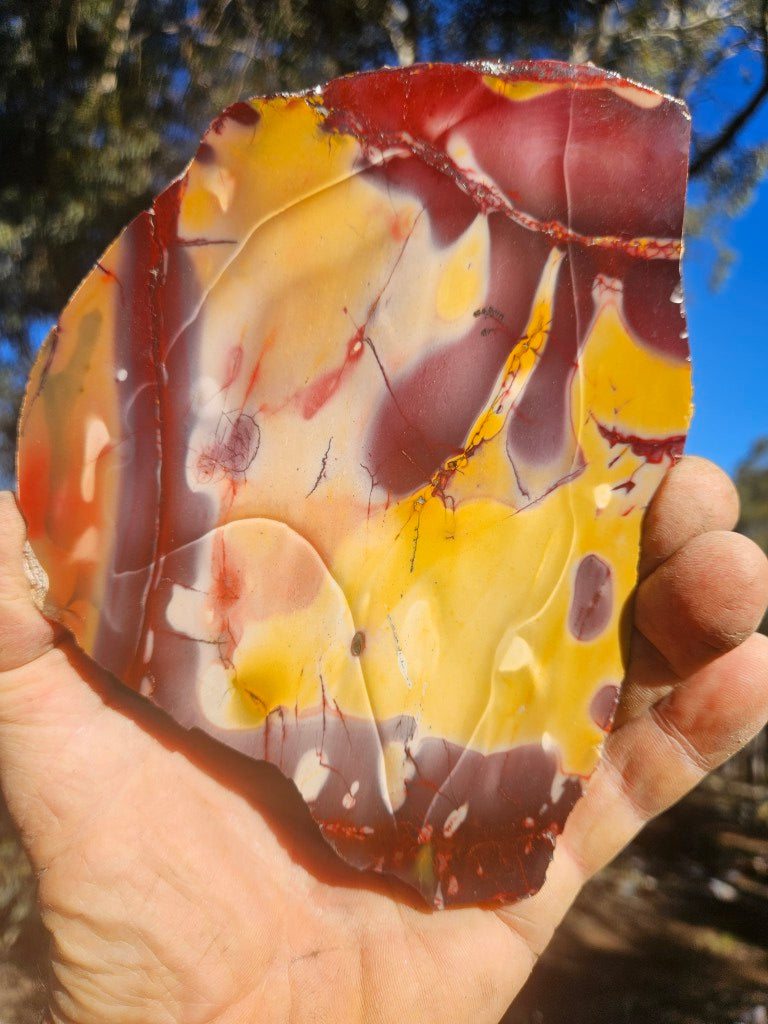 Polished  Mookaite slab MK609