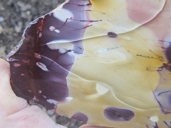 Polished  Mookaite slab MK609