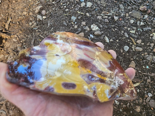 Polished  Mookaite slab MK609
