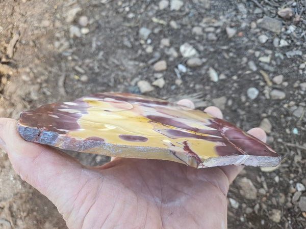 Polished  Mookaite slab MK609