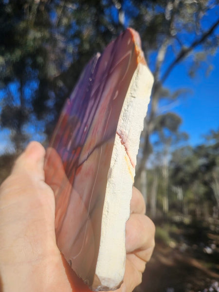 Polished  Mookaite slab MK610