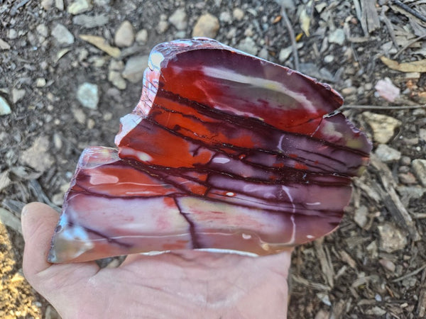 Polished  Mookaite slab MK610