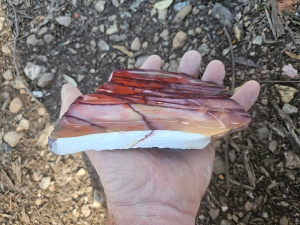 Polished  Mookaite slab MK610