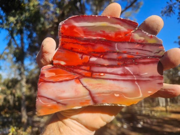 Polished  Mookaite slab MK610