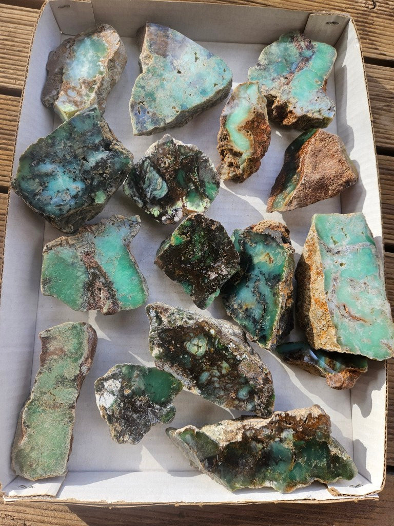Bulk lot of 16 polished Chrysoprase . CH507