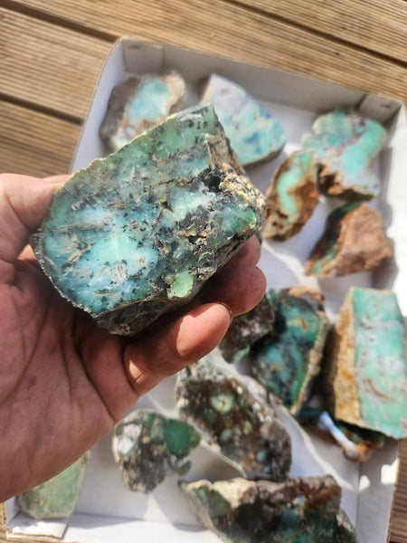 Bulk lot of 16 polished Chrysoprase . CH507