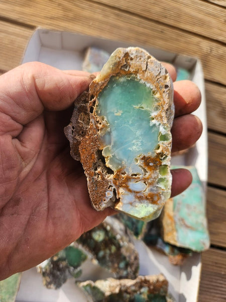 Bulk lot of 16 polished Chrysoprase . CH507