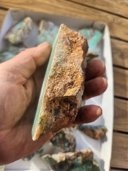 Bulk lot of 16 polished Chrysoprase . CH507