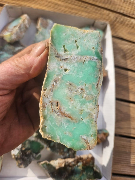Bulk lot of 16 polished Chrysoprase . CH507