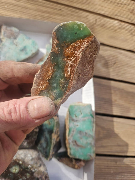 Bulk lot of 16 polished Chrysoprase . CH507