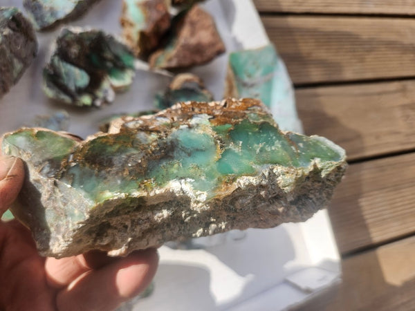 Bulk lot of 16 polished Chrysoprase . CH507