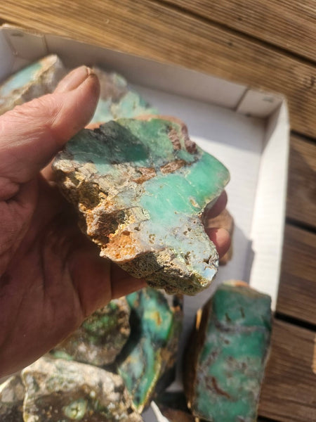 Bulk lot of 16 polished Chrysoprase . CH507