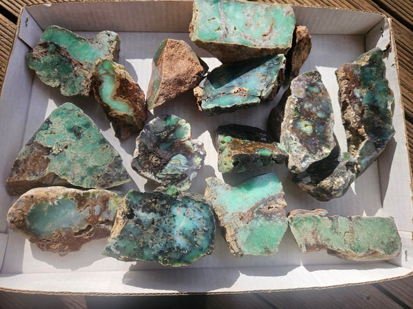 Bulk lot of 16 polished Chrysoprase . CH507