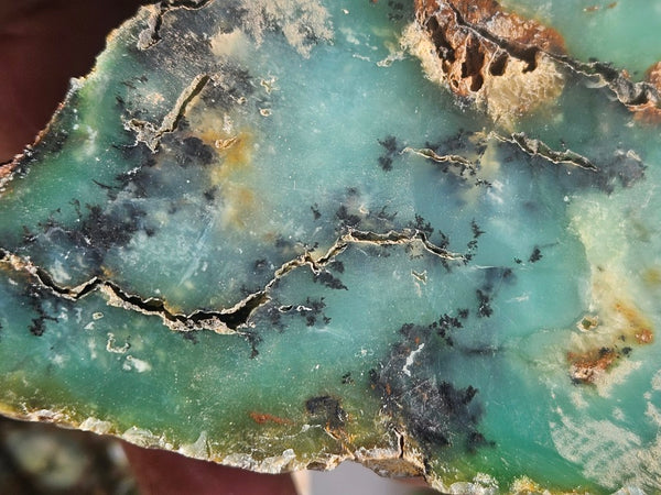 Bulk lot of 16 polished Chrysoprase . CH507
