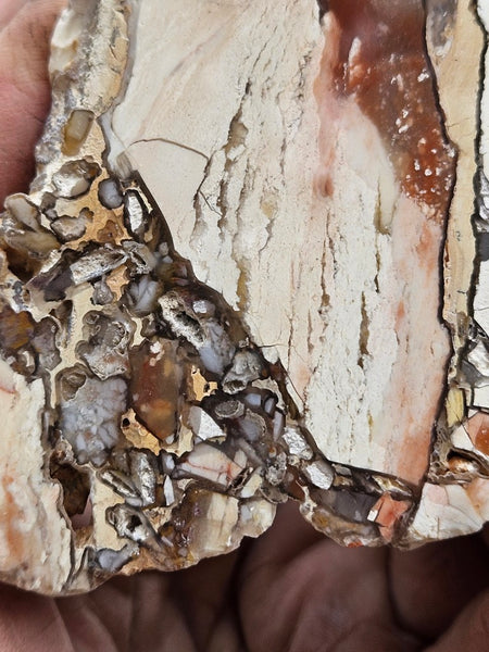 Polished Brecciated Mookaite  BM347
